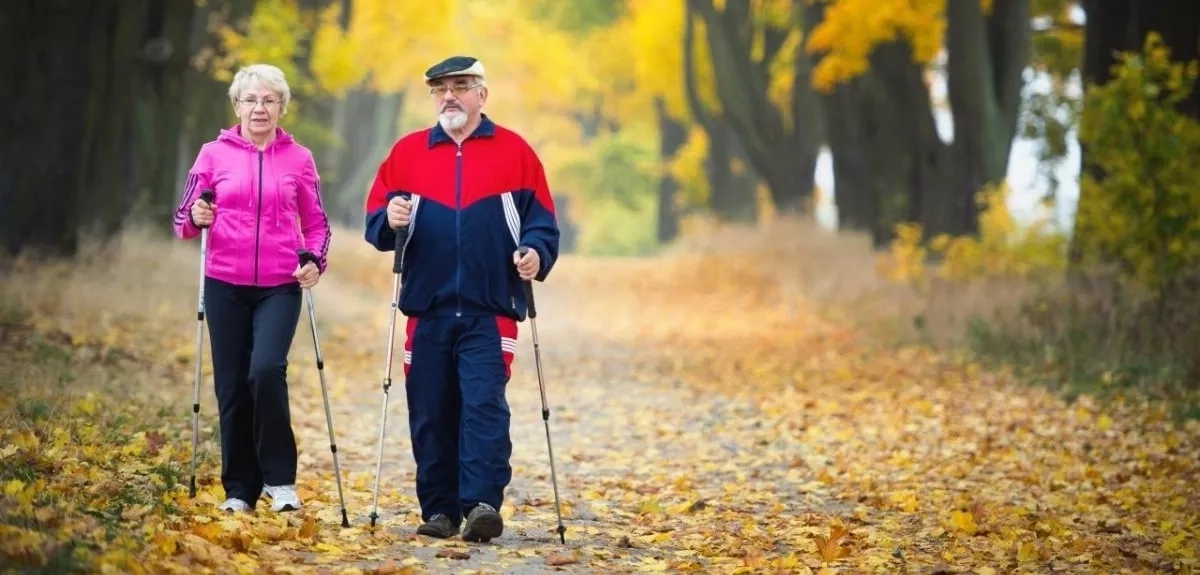 Польза скандинавской ходьбы для пожилого человека